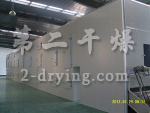 大蒜片專用帶式干燥機