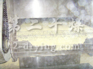 雞精專用帶式干燥機(jī)