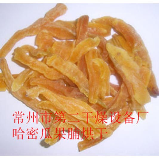 DWD 帶式脫水蔬菜干燥機