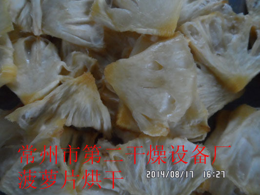 DWD 帶式脫水蔬菜干燥機