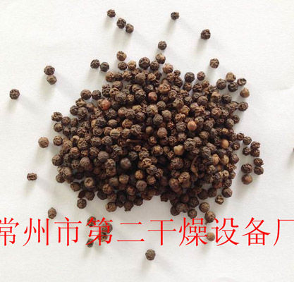 DWD 帶式脫水蔬菜干燥機